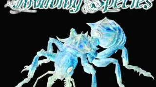Invading Species - Pity Party
