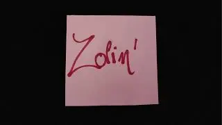 Zolin'