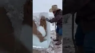 Mi abuelito se encontr&oacute; un Mamut congelado