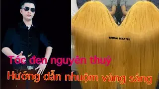 Nhuộm Tóc đen nguyên thủy màu vàng sáng  #đàotạonghề #hairdressing #sàigòn #dayhoc #trungmaster
