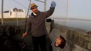 INSHORE SALTWATER FISHING / NORTHERN CALIFORNIA (S:1, E:7)