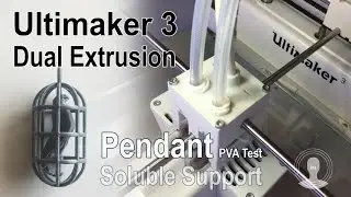 Ultimaker 3 - Parrot Pendant (PVA test)