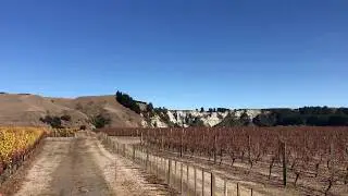 Decibel Sauvignon Blanc Crownthorpe Sauvignon Blanc vineyard