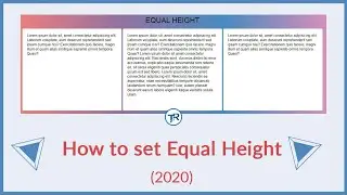 SIMPLE EQUAL HEIGHT USING JAVASCRIPT (2020)