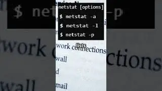 Master the netstat Command 🌐 | Linux Networking Basics