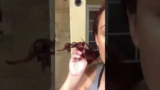 Shoupin hair color tips test