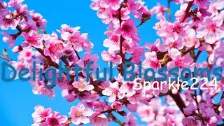 Delightful Blossoms by Sparkle224 100% (Insane Demon)
