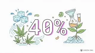 ICE-O-LATOR CBD : extraction &agrave; l&rsquo;eau glac&eacute;e, puret&eacute; & COA | Green Owl (&le;0,3% THC)
