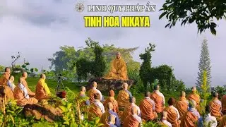 Tinh Hoa NIKAYA