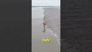 Most Dangerous Fish Catching Method in the World!
