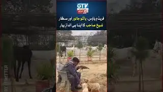 Sheikh Rasheed at his Farm House | GTV News | #shorts