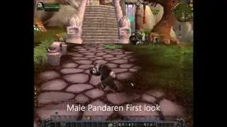 Male Pandaren Dance first look - shuffling