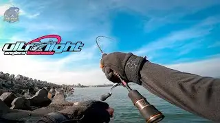Casting Pinggiran FULL STRIKE Ikan Sayur &bull; Ultralight Fishing Indonesia &bull; Shimano Stradic FL 1000 HG