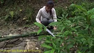 LIVING OFF GIRD - Camp and Cooking Alone Live off the Grid Solo Bushcraft & Camping Suviva Instinct