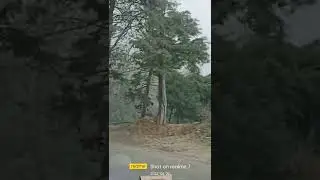massouri ki hseen wadiya ki seir☺️