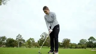 Divot Repair