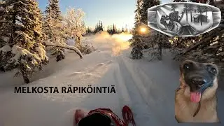 Saxnäs 2025 | Päivä 1 | Lynx Shredder RE 850 TURBO