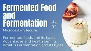 Fermented Foods || Fermentation || Microbiology