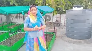 अपनी छत को बनाएं 'ऑर्गेनिक खेत'
