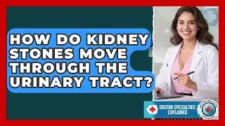 How Do Kidney Stones Move Through The Urinary Tract? - Doctor Specialties Explained