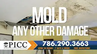 🏡 Property Damage? We can help. &mdash; New, Denied, Underpaid Claims. PICC Public Adjuster Miami.