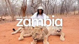 Walking With LIONS in Zambia, Africa 🇿🇲| Best Things To Do & More [PT.2]