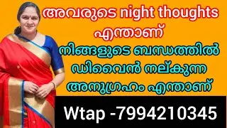 ❤️❤️നിങ്ങളുടെ ഓർമ്മകൾ അവരുടെ ഉറക്കം കളയുന്നു. ഈ ബന്ധത്തിൽ പ്രപഞ്ചം നിങ്ങളെ അനുഗ്രഹിക്കുന്നുണ്ടോ 💯