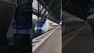 RB48 nach Bonn-Mehlem haltestelle: K&ouml;ln Hbf