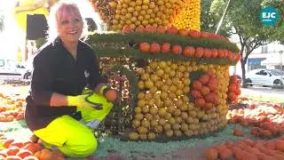 Que deviennent les agrumes de la f&ecirc;te du citron de Menton ? | EJC.media