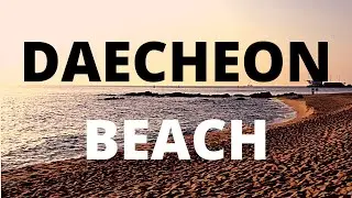 Daecheon Beach Day Trip | 2hr from Camp Humphreys