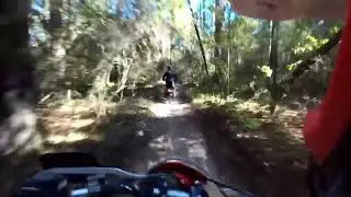 Slow and Easy Zebra Ride