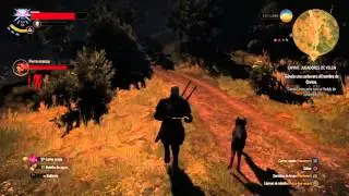 Witcher 3: WH - A dog's life