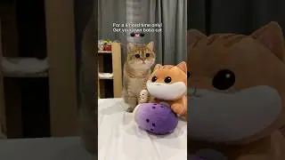 and this is how you can get a boba cat ⚫️👅⚫️! 🔗 in bio‼️ #cat #boba