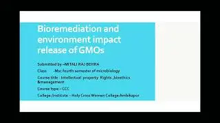 Bioremediation and environment impact release of GMOs
