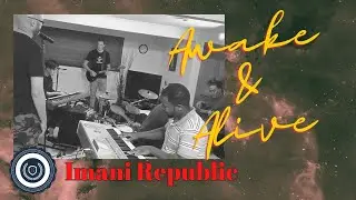 Awake and Alive (Skillet cover) | Imani Republic