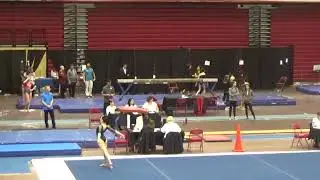 Amari Rae Evans Vault Level 10 Regionals 2018