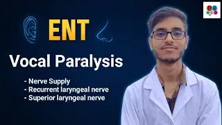 Laryngeal paralysis | Recurrent laryngeal nerve palsy | Hoarseness of voice | ENT bangla lecture