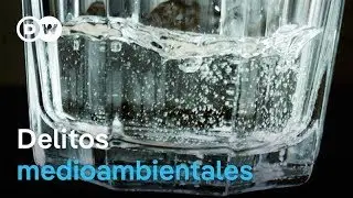 PFAS - 