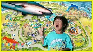 Camdensaurus Family Vlog at Sea Life Park