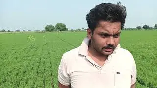 Tropical Agrosystem  Tag topper #Highlight #viral 