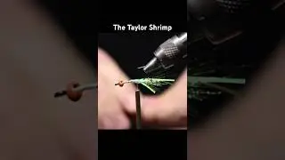 FLY TYING SALMON FLIES: THE TAYLOR SHRIMP #fishing #flyfishing #fishingflies #short #salmon