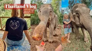 Thailand Vlog (FeelFree Travel) | Days 13-15 (Chiang Mai)