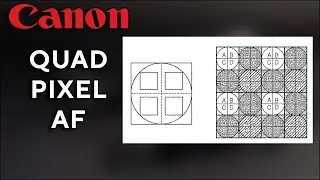 Canon Quad Pixel AF Революция в мире АФ?
