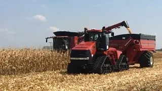 Case IH 550 Quadtrac & 8240 - Farm Progress Show 2015