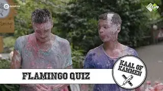 Flamingo quiz | Kaal of Kammen