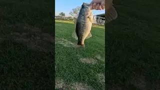 My Secret Bass Fishing Setup That Works EVERY Time!