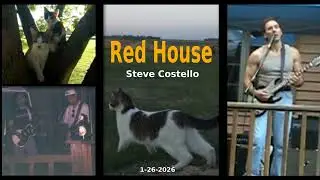 Red House🎸Steve Costello🎸1-26-2026 🎸Blues guitar
