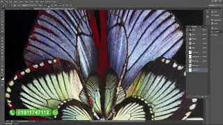 Class - 7 / Vedio -1 / Screen printing design Bangla tutorial l স্ক্রীন প্রিন্টিং ডিজাইন
