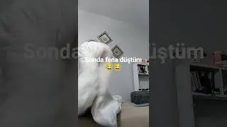 sonda fena d&uuml;şt&uuml;m