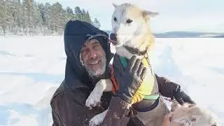 Huskytour Schweden 2022
